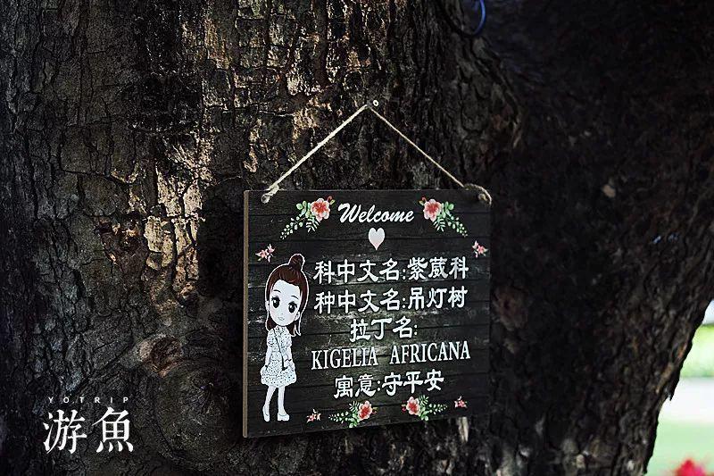 影视工厂