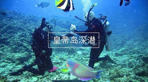 西湖街道金槐村：“小积分”激活“大能量”，推进村容村貌绽新颜